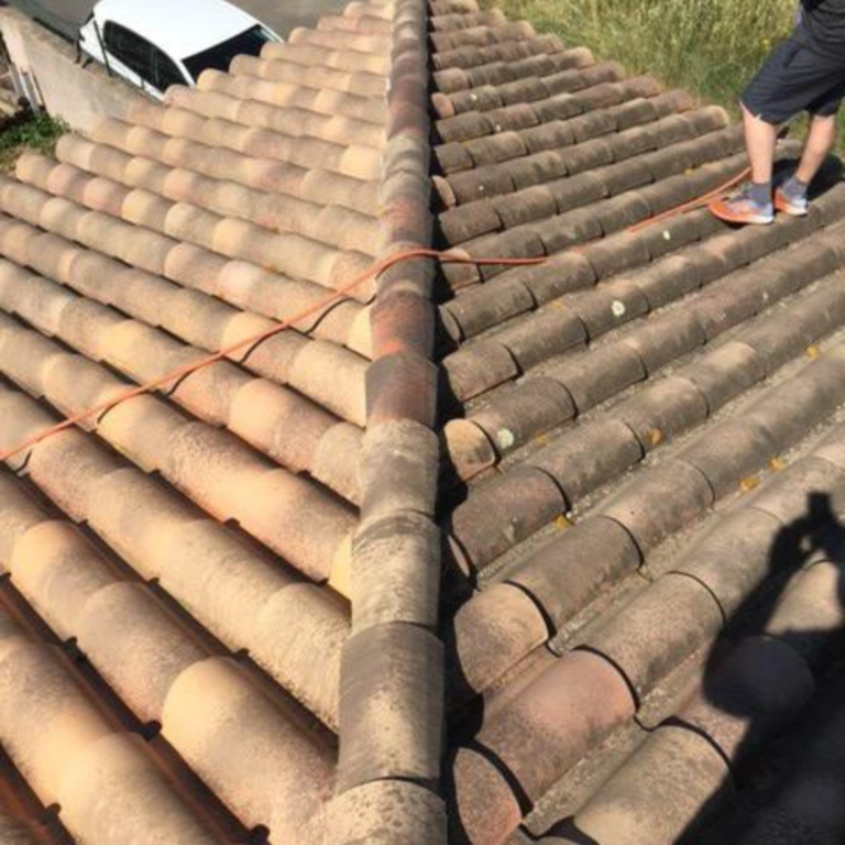nettoyage toiture demoussage copie