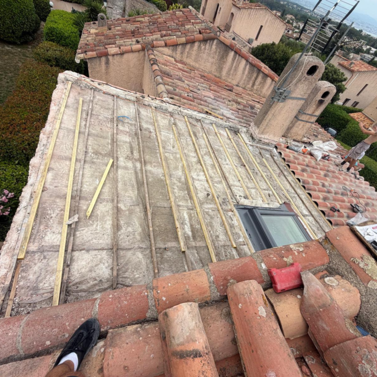 renovation de toiture et pose de velux